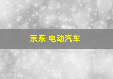 京东 电动汽车